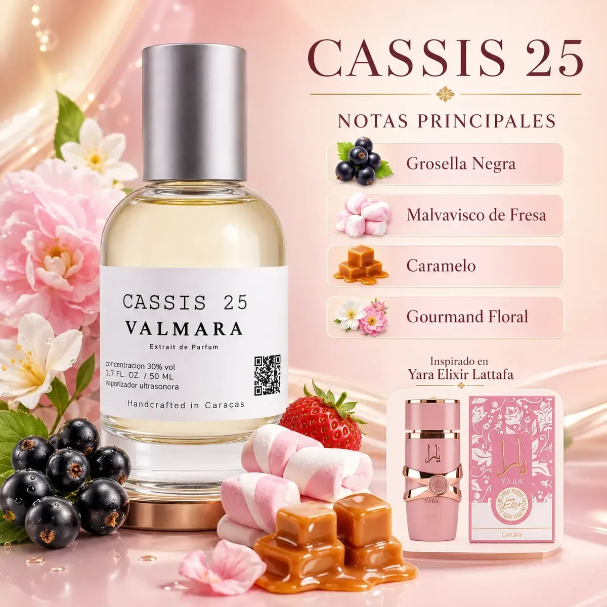 CASSIS 25 · imagen 2