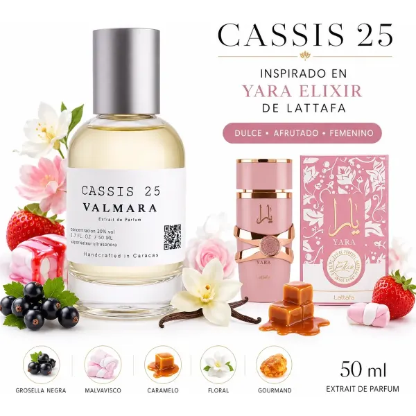 CASSIS 25